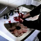 Immagine 3 azienda ESCAPE ROOM PESCARA Sport e tempo libero in Montesilvano PE