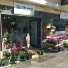 Immagine 1 azienda ESHO FUNI GARDEN Shopping e acquisti in Pescara