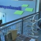 Immagine 1 azienda EUROPAVIMENTI PIERO DEGRASSI Posa di pavimenti in Trieste