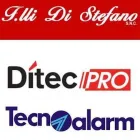 Immagine 2 azienda F.LLI DI STEFANO Veicoli in San Giovanni Teatino CH