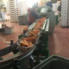 Immagine 2 azienda F.LLI FLORIDDIA Servizi agricoli in Rosolini SR