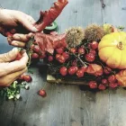 Immagine 6 azienda FAIETA FIORI Shopping e acquisti in Pescara
