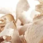 Immagine 1 azienda FALEGNAMERIA CUOGO PAOLO Shopping e acquisti in Venezia