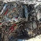 Immagine 6 azienda FANTON ARRIGO Servizi professionali in Modena