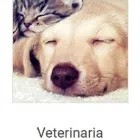 Immagine 1 azienda FARMACIA BOCCACCIO Shopping e acquisti in Milano