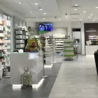 Immagine 4 azienda FARMACIA CANCELLIERA Shopping e acquisti in Albano Laziale RM