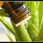 Immagine 2 azienda FARMACIA CONTINI DR. RAFFAELE Shopping e acquisti in Germignaga VA