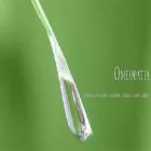 Immagine 4 azienda FARMACIA DR. DEL SOLE GIACINTO Shopping e acquisti in Bitonto BA