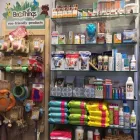 Immagine 1 azienda FARMACIA FUTURA Shopping e acquisti in Alpignano TO