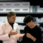 Immagine 2 azienda FARMACIA RUBINO ALLA CROCE VERDE Shopping e acquisti in Trieste