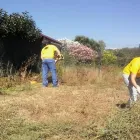 Immagine 2 azienda FEMA PULI'S ANGELS Servizi professionali in Civitavecchia RM