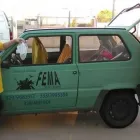 Immagine 4 azienda FEMA PULI'S ANGELS Servizi professionali in Civitavecchia RM