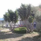 Immagine 6 azienda FEMA PULI'S ANGELS Servizi professionali in Civitavecchia RM