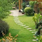 Immagine 1 azienda FERRO GIANNI TUTTO GIARDINO Servizi professionali in Ferrara