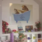 Immagine 3 azienda FIGARO DOG Shopping e acquisti in Torino