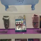 Immagine 8 azienda FIGARO DOG Shopping e acquisti in Torino