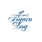 Immagine 9 azienda FIGARO DOG Shopping e acquisti in Torino