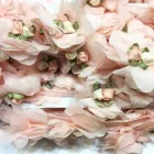 Immagine 1 azienda FILMODA Shopping e acquisti in Bari