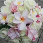 Immagine 1 azienda FIORAIA CORVI Shopping e acquisti in Bizzozero VA