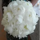 Immagine 5 azienda FIORAIA CORVI Shopping e acquisti in Bizzozero VA