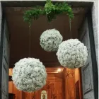 Immagine 6 azienda FIORAIA CORVI Shopping e acquisti in Bizzozero VA