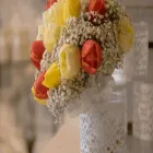 Immagine 2 azienda FIORDALISA Shopping e acquisti in Spresiano TV