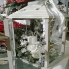 Immagine 3 azienda FIORDALISA Shopping e acquisti in Spresiano TV