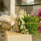 Immagine 5 azienda FIORDALISA Shopping e acquisti in Spresiano TV