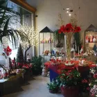 Immagine 3 azienda FIORERIA D'ASSIE' Shopping e acquisti in Vittorio Veneto TV