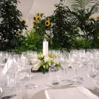 Immagine 4 azienda FIORERIA D'ASSIE' Shopping e acquisti in Vittorio Veneto TV
