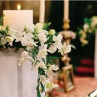 Immagine 1 azienda FIORERIA FANTIN Shopping e acquisti in Mestre Ve