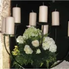 Immagine 3 azienda FIORERIA FANTIN Shopping e acquisti in Mestre Ve