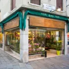 Immagine 7 azienda FIORERIA FANTIN Shopping e acquisti in Mestre Ve