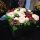 Immagine 4 azienda FIORERIA GALEAZZO GASTONE SAS Shopping e acquisti in Vicenza