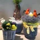 Immagine 5 azienda FIORERIA GALEAZZO GASTONE SAS Shopping e acquisti in Vicenza