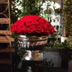 Immagine 6 azienda FIORERIA GALEAZZO GASTONE SAS Shopping e acquisti in Vicenza