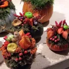 Immagine 7 azienda FIORERIA GALEAZZO GASTONE SAS Shopping e acquisti in Vicenza