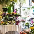 Immagine 1 azienda FIORERIA I FIORI DI ANNA E AZEGLIO Shopping e acquisti in Treviso