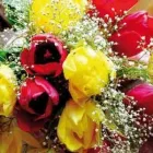 Immagine 2 azienda FIORERIA I FIORI DI ANNA E AZEGLIO Shopping e acquisti in Treviso
