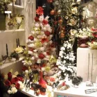 Immagine 1 azienda FIORERIA LA FLOREALE Shopping e acquisti in Riccione RN