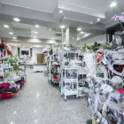 Immagine 1 azienda FIORERIA LA MARGHERITA Shopping e acquisti in Ferrara