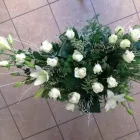 Immagine 6 azienda FIORERIA LA ROSA Shopping e acquisti in Galliera Veneta PD