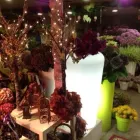 Immagine 2 azienda FIORERIA OTELLO Shopping e acquisti in Vicenza