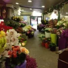 Immagine 3 azienda FIORERIA OTELLO Shopping e acquisti in Vicenza