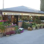 Immagine 7 azienda FIORERIA OTELLO Shopping e acquisti in Vicenza