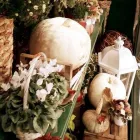 Immagine 3 azienda FIORERIA RIVIERA Shopping e acquisti in Vicenza