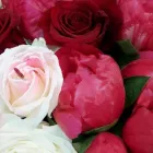 Immagine 5 azienda FIORERIA RIVIERA Shopping e acquisti in Vicenza