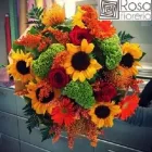 Immagine 2 azienda FIORERIA ROSA Shopping e acquisti in Torri Di Quartesolo VI