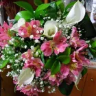 Immagine 1 azienda FIORERIA SOGNO FIORITO Vivaio in Venezia