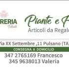 Immagine 4 azienda FIORERIA TURBATO - PIANTE, FIORI E ARTICOLI REGALO Shopping e acquisti in Pulsano TA